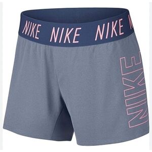 Nike Purple and Pink Youth Short